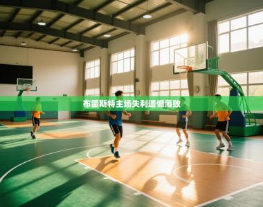 布雷斯特主场失利遗憾落败