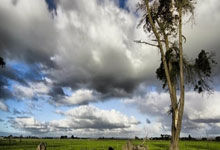 拜仁慕尼黑逆袭巴黎圣日耳曼，扳平欧冠半决赛