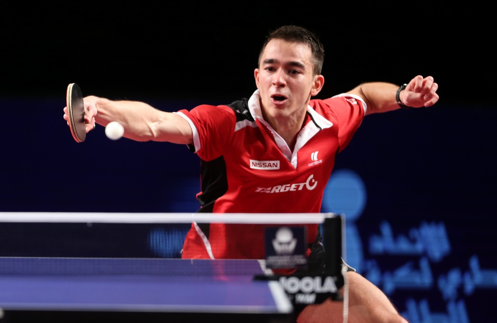 卡塔尔拳击手在决赛中力压群雄 卡塔尔拳击手在决赛中力压群雄